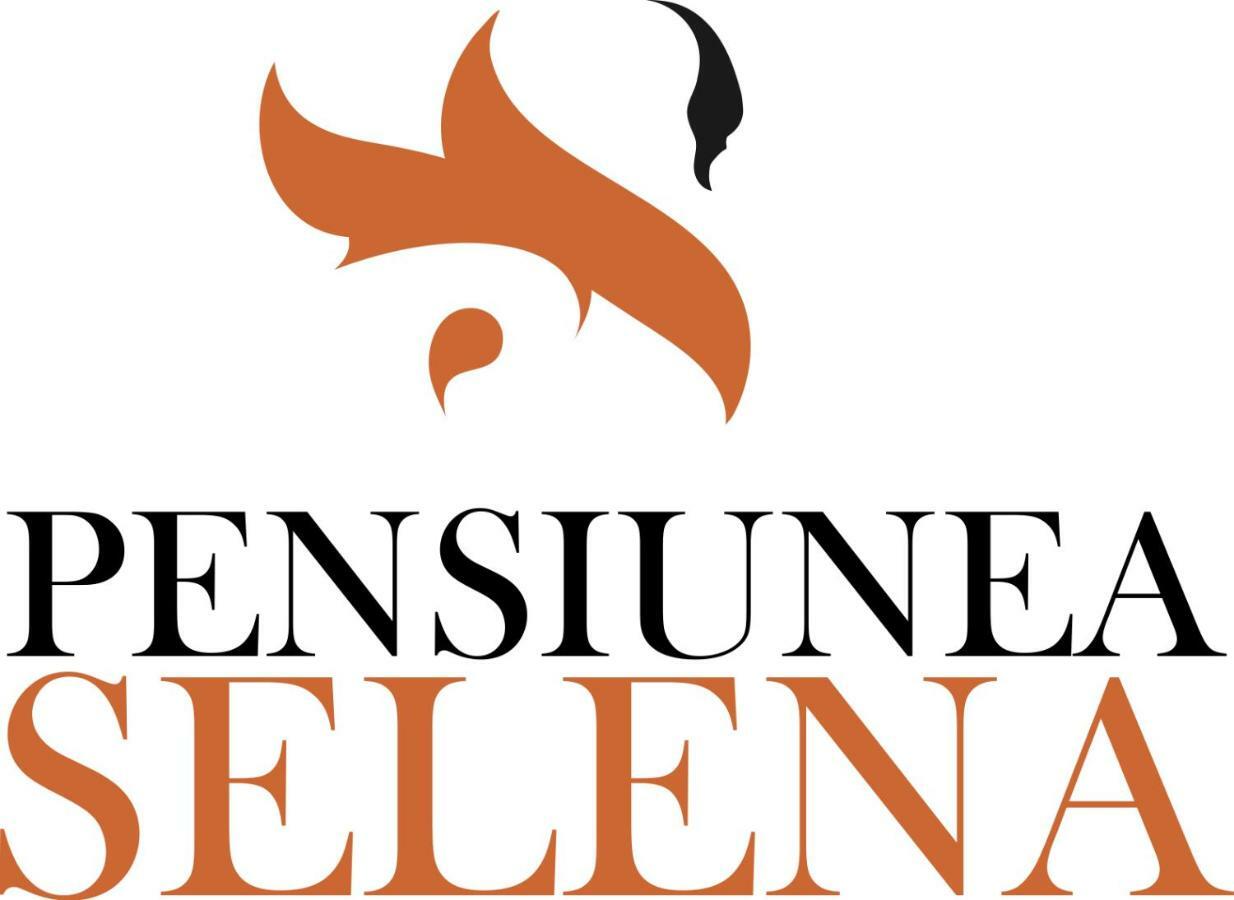Pensiunea Selena Vişeu de Sus Eksteriør bilde